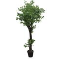 Maquina 63 in. Chinese Next Tree MA3001125